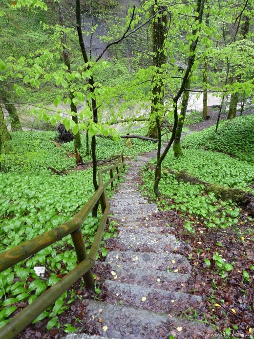 Zillhausener Wasserfall Buettenbach Schlucht