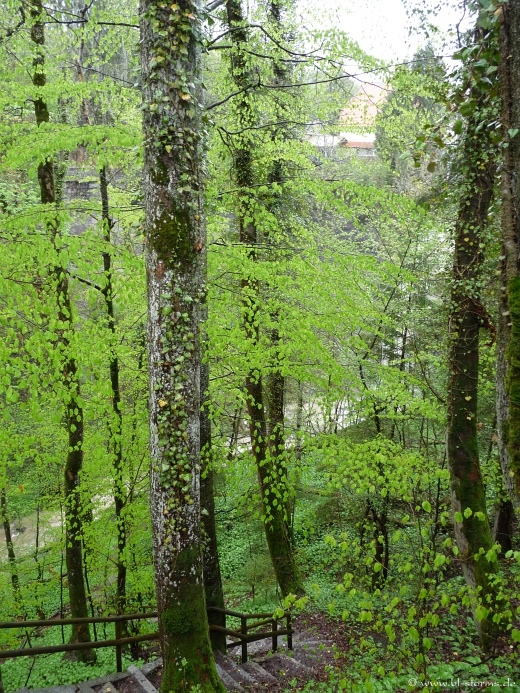 Zillhausener Wasserfall Buettenbach Schlucht